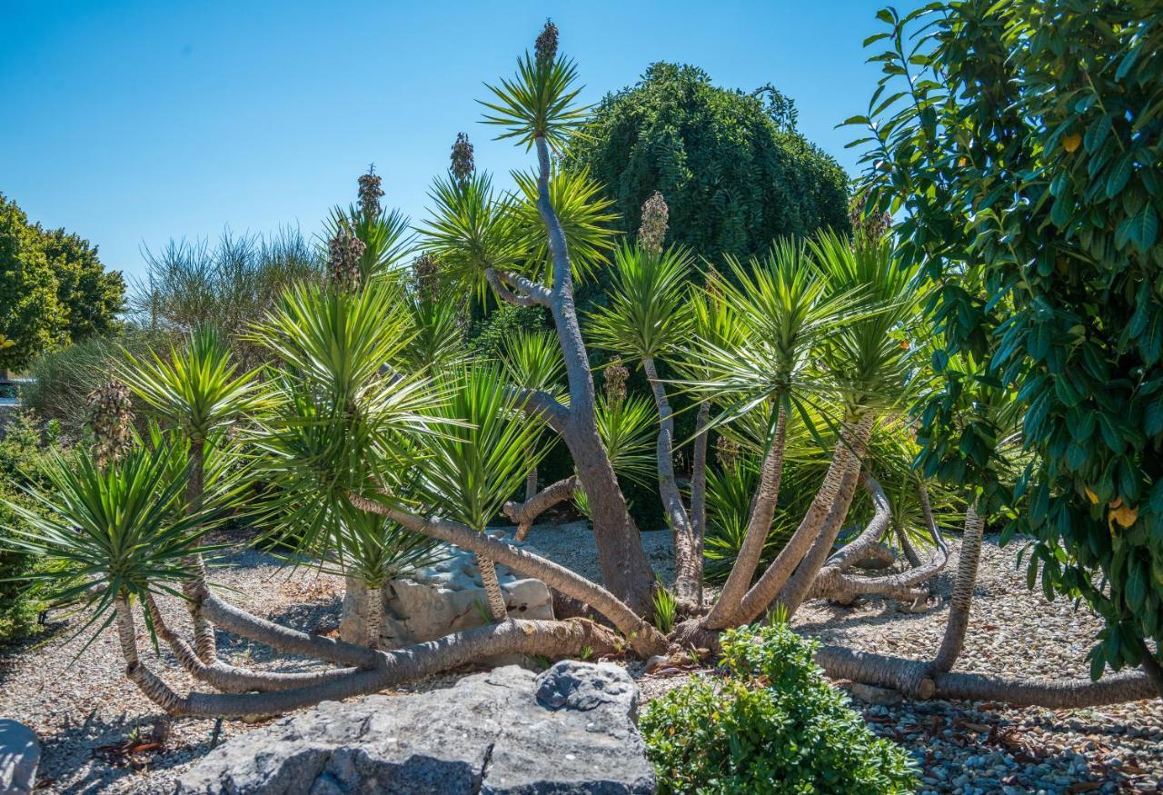 Villa Perini Dvori Donji Zemunik Buitenkant foto